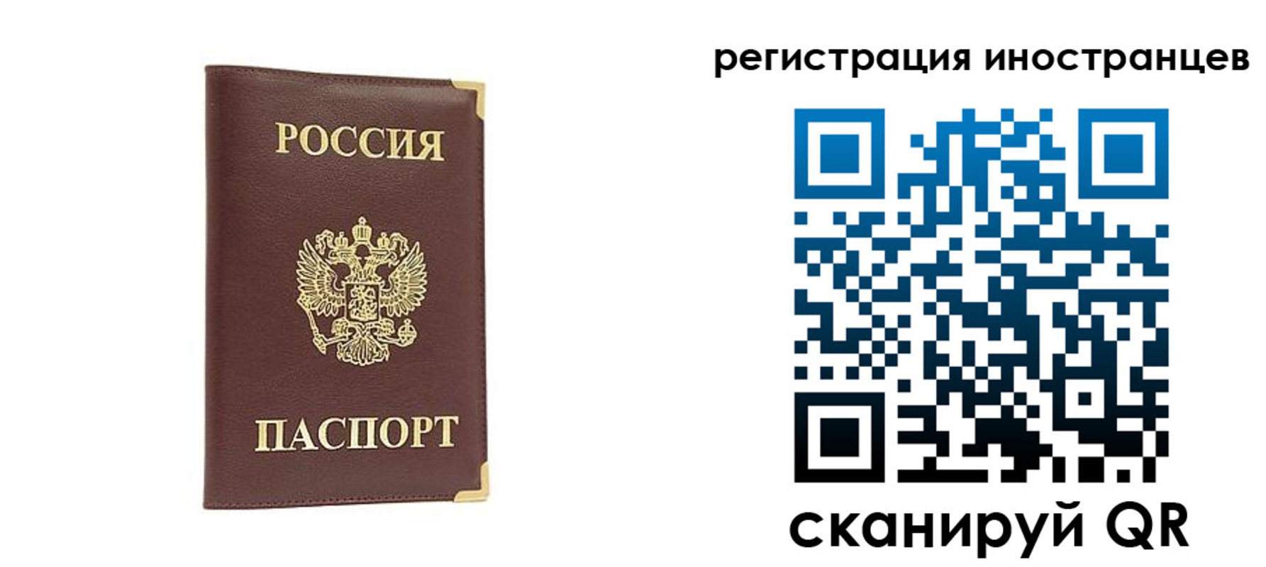 регистрация в Брянской области